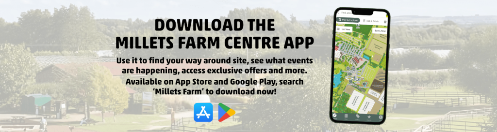 A banner asking people to download the millets farm centre app