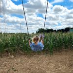 SwingMaze
