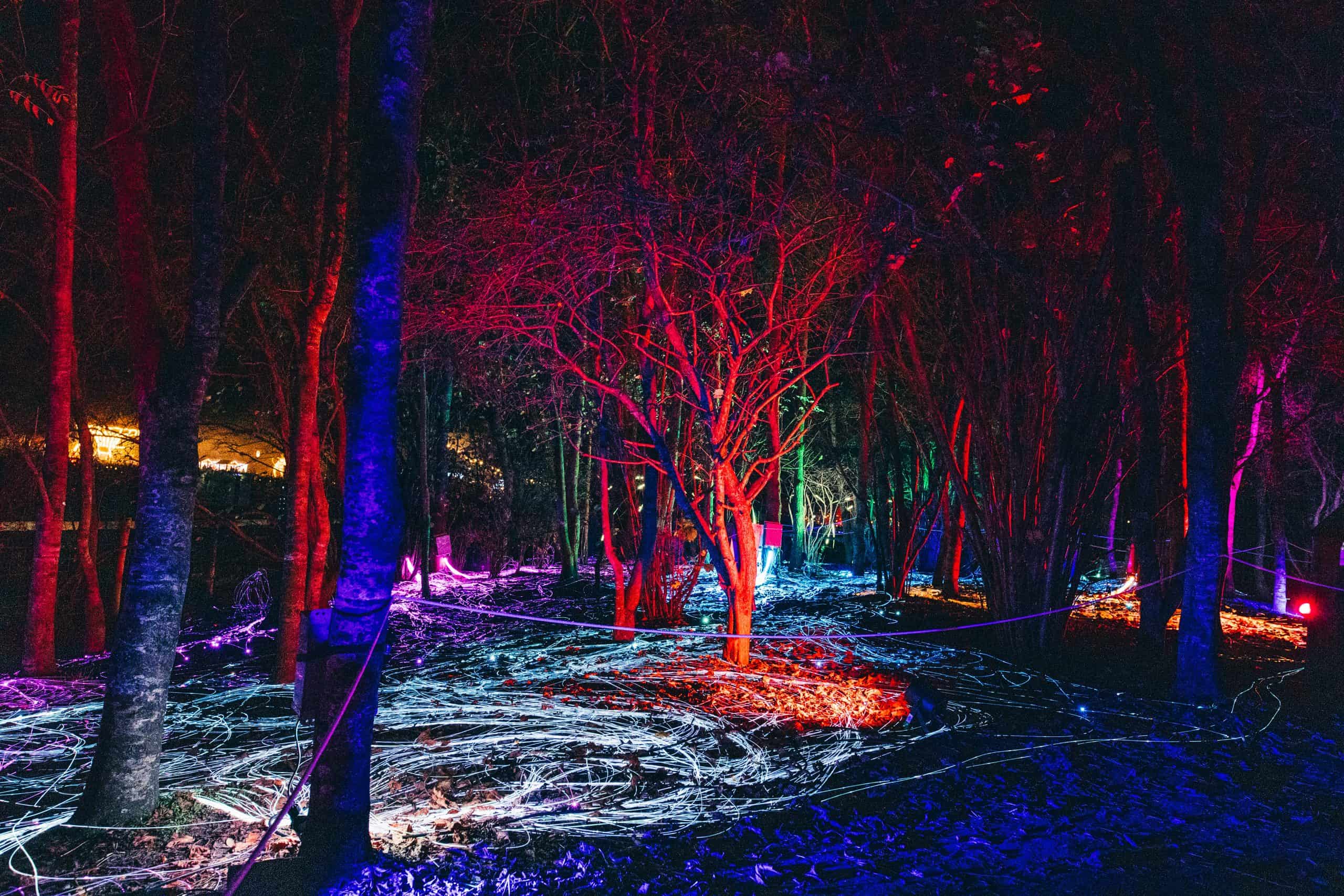 Illuminate Light Trail